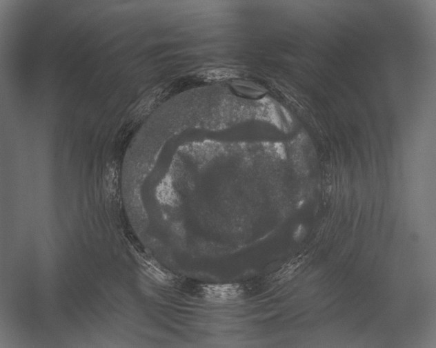 X0000052920281200507292334