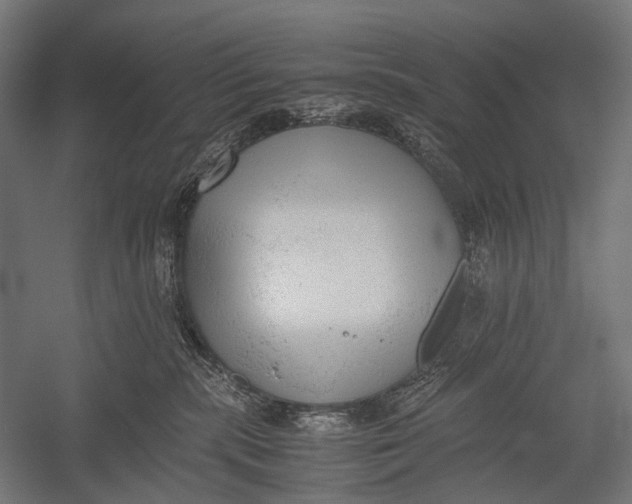 X0000052920283200507292334