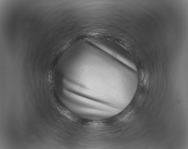 X0000052920284200507292334