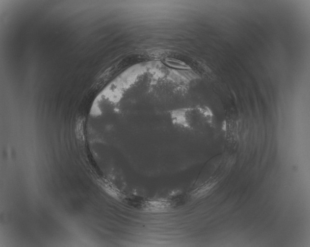 X0000052920286200507292334