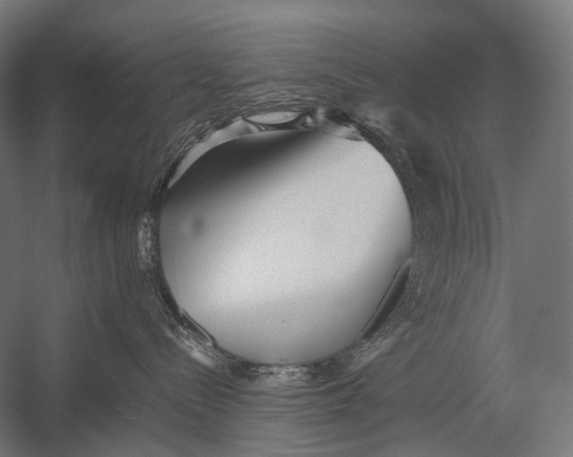 X0000052920288200507292334