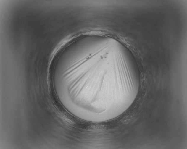 X0000052920296200507292333