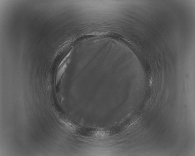 X0000052920303200507292333