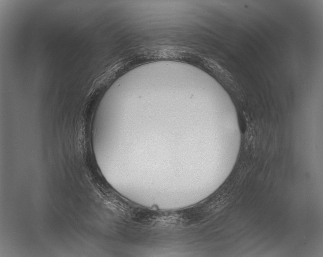 X0000052920306200507292333