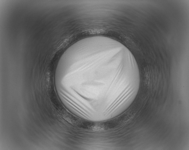 X0000052920308200507292333