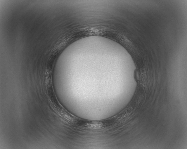 X0000052920318200507292333