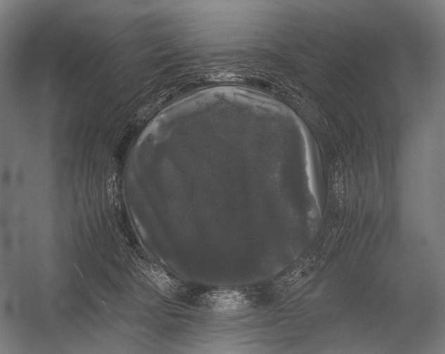 X0000052920322200507292333