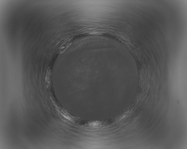 X0000052920325200507292333