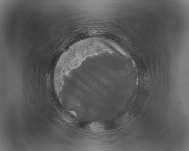 X0000052920327200507292332