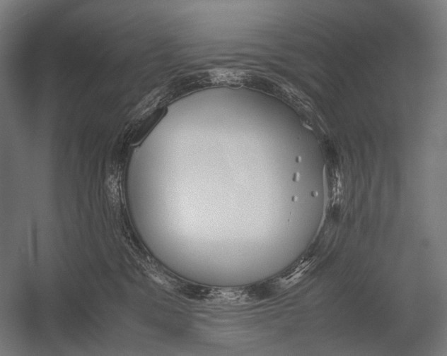 X0000052920329200507292332