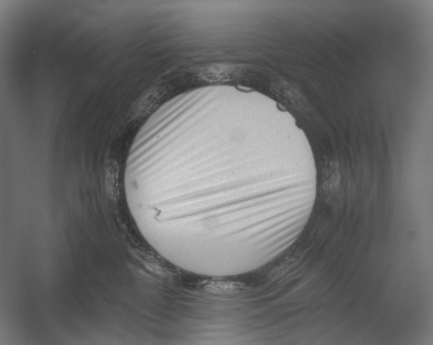 X0000052920332200507292332