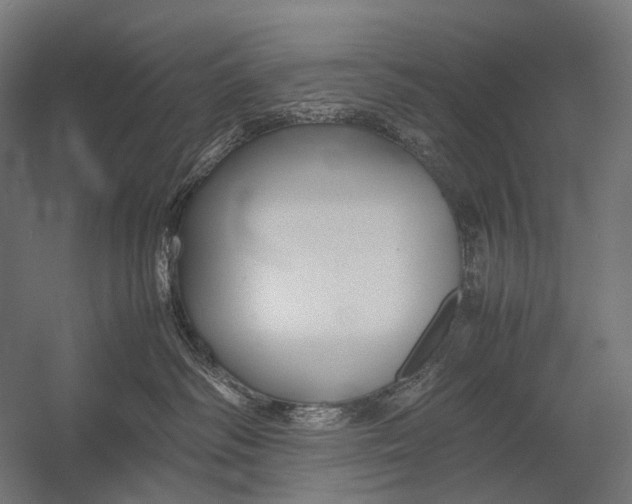 X0000052920334200507292332