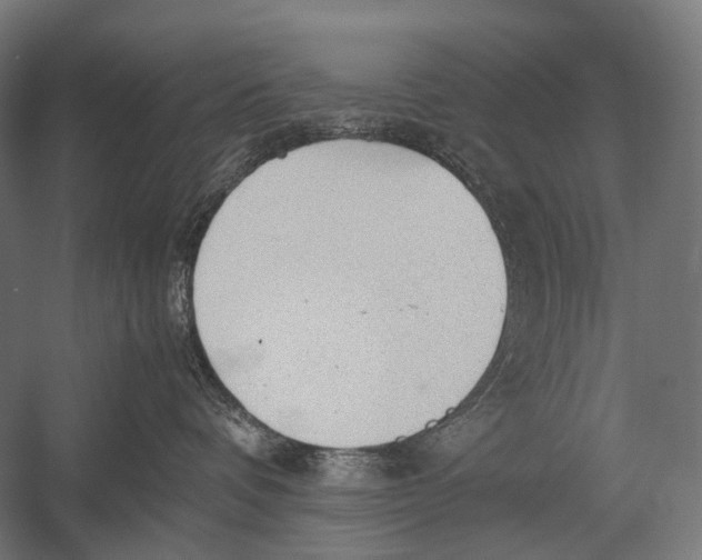 X0000052920336200507292332
