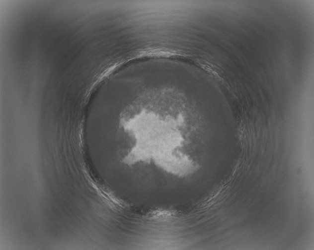 X0000052920352200507292332