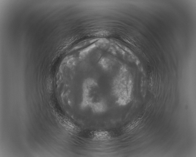 X0000052920355200507292332