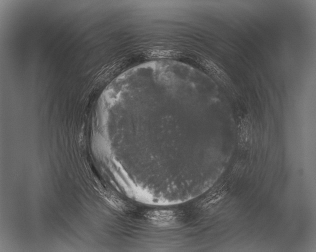 X0000052920361200507292332