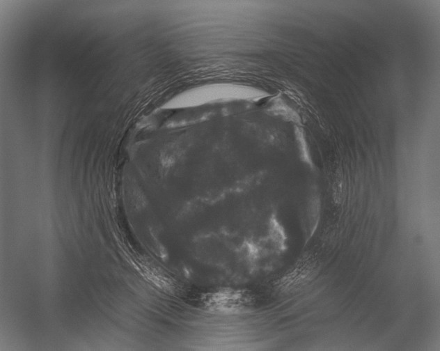 X0000052920366200507292332