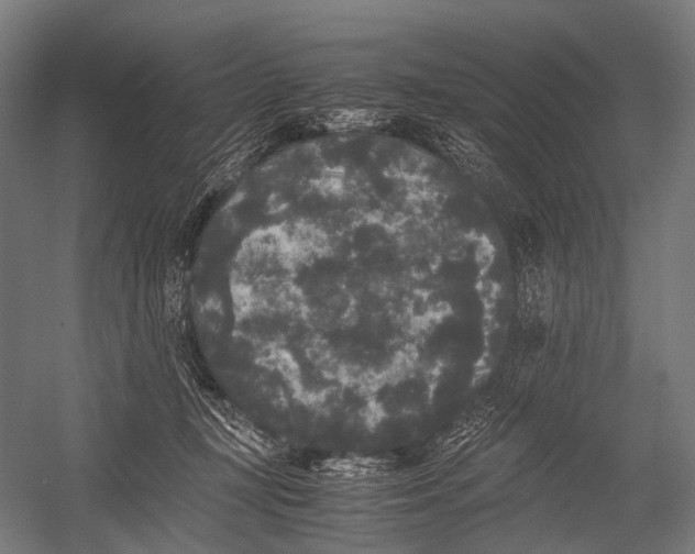 X0000052920367200507292332