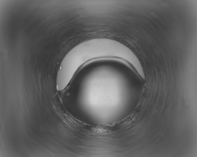 X0000052920380200507292332