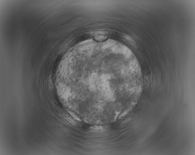 X0000052920381200507292332