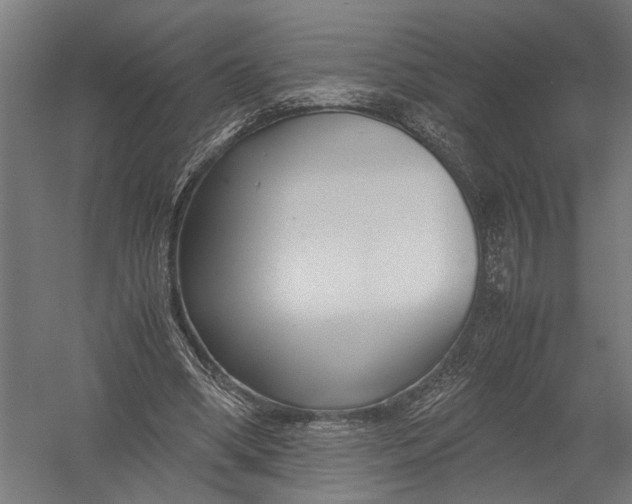 X0000052920394200507292331