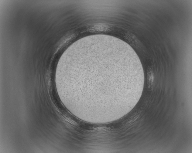 X0000052920396200507292331
