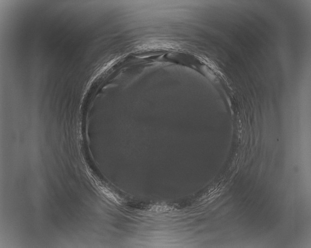 X0000052920399200507292331