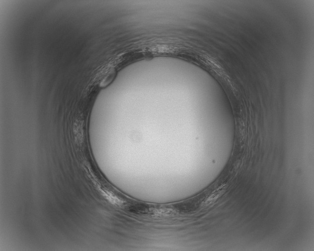 X0000052920401200507292331