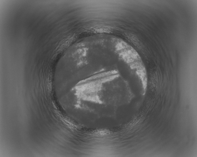 X0000052920402200507292331
