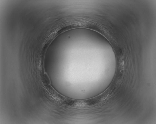 X0000052920403200507292331