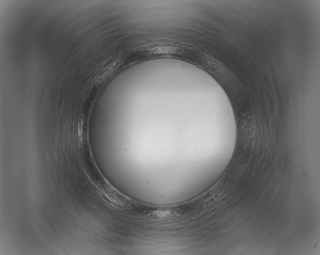 X0000052920406200507292331