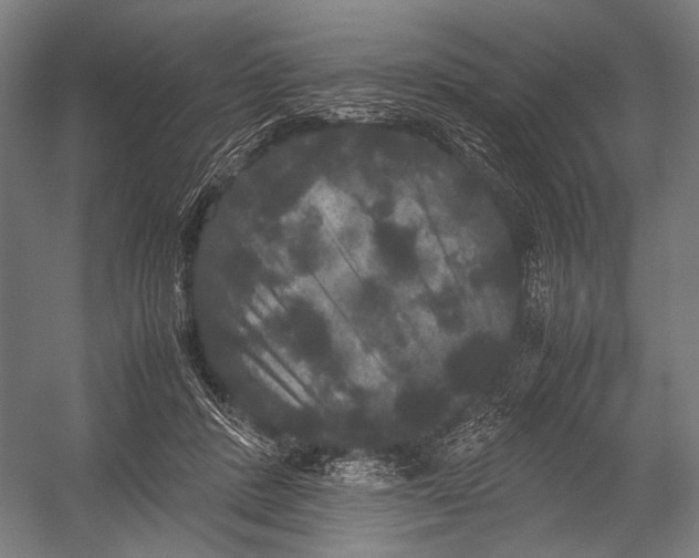 X0000052920408200507292331