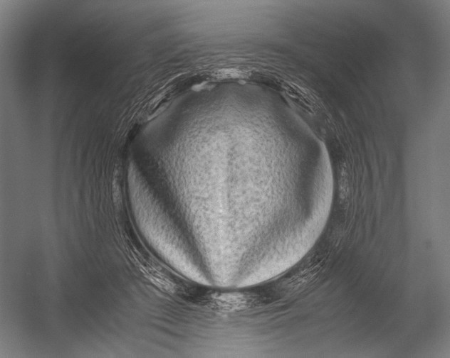 X0000052920409200507292331