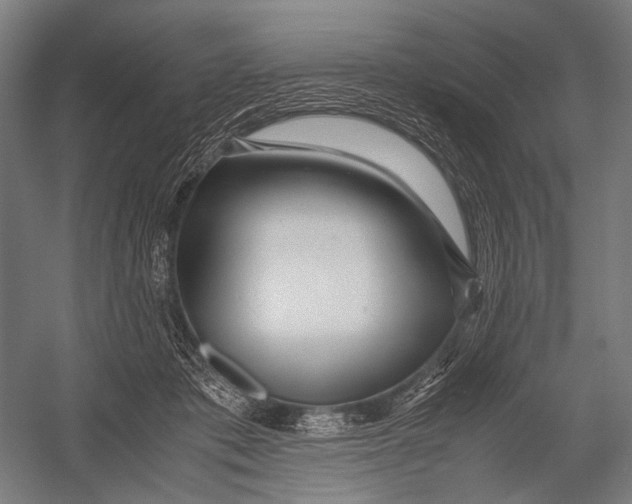 X0000052920413200507292331