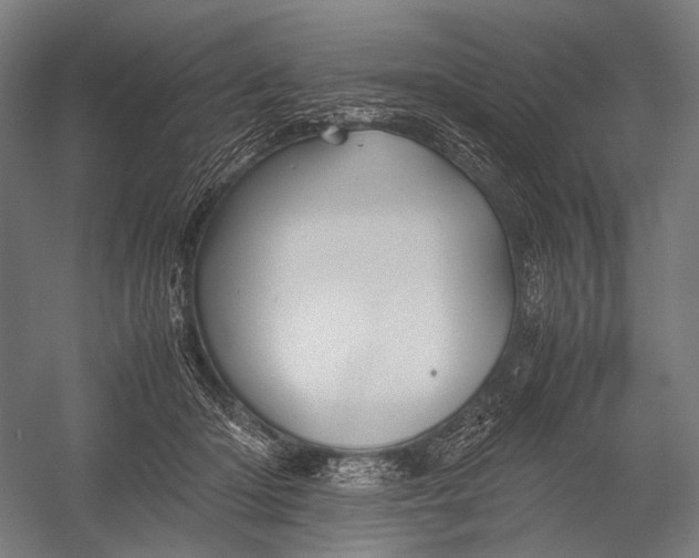 X0000052920414200507292331