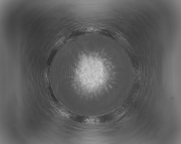 X0000052920415200507292331