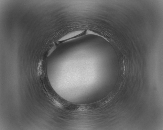 X0000052920416200507292331