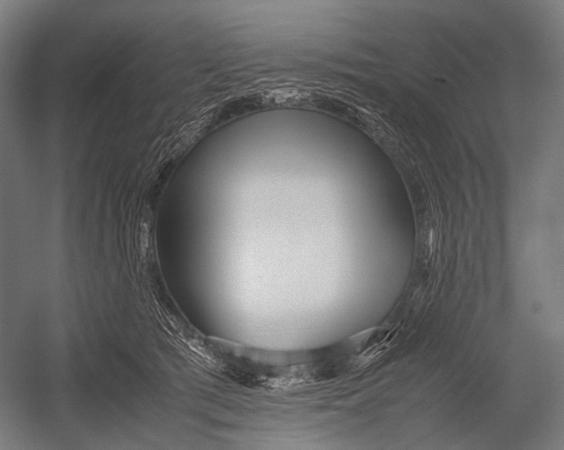 X0000052920417200507292331