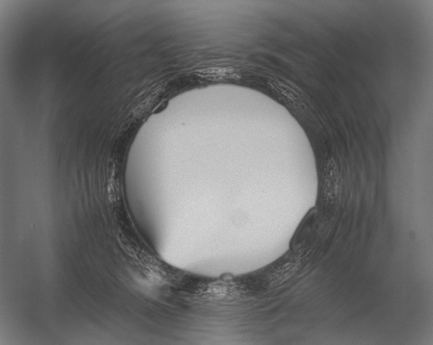 X0000052920420200507292331