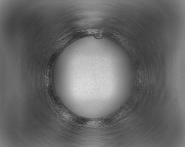 X0000052920422200507292331