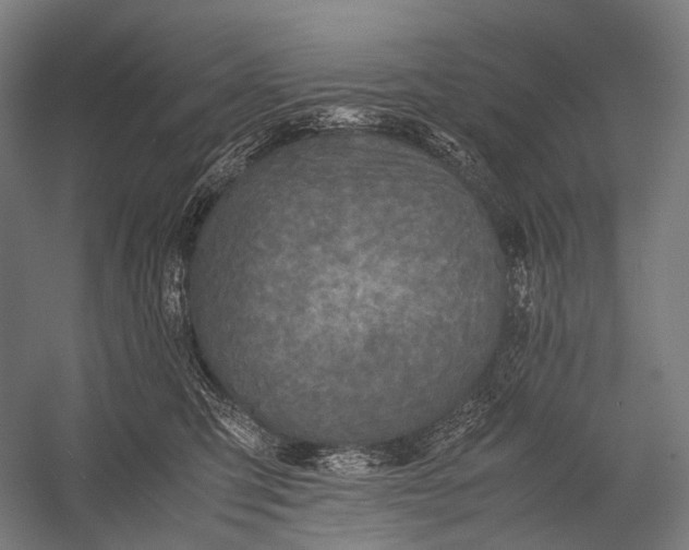 X0000052920423200507292331