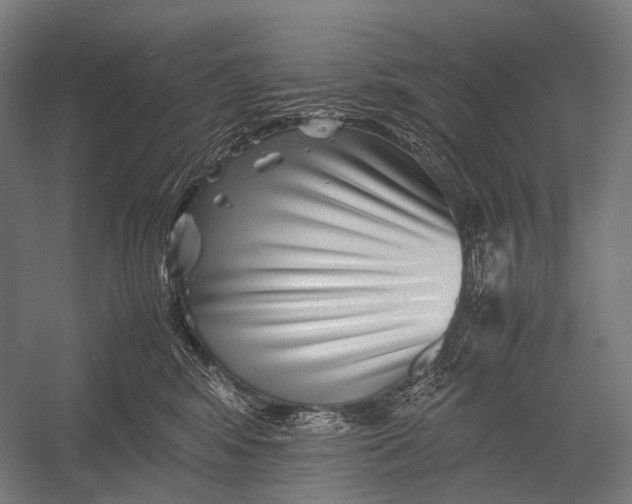 X0000052920424200507292331