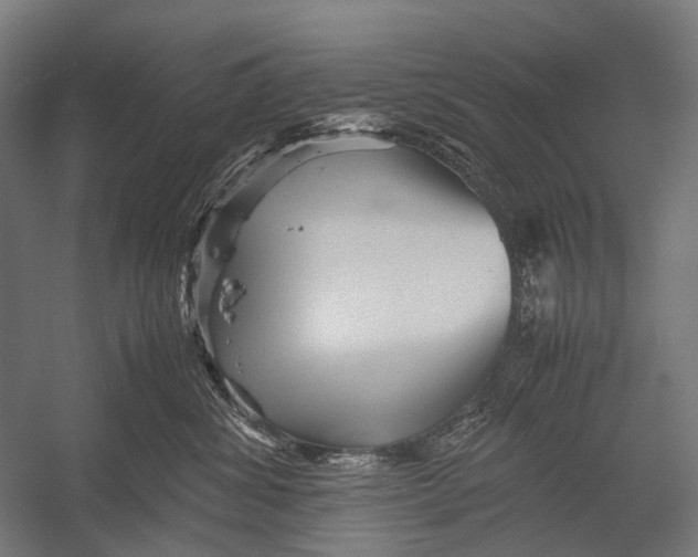 X0000052920428200507292331