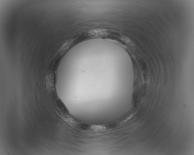 X0000052920429200507292331