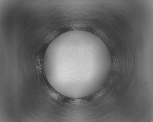 X0000052920430200507292331