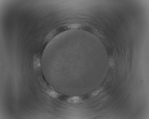 X0000052920431200507292331