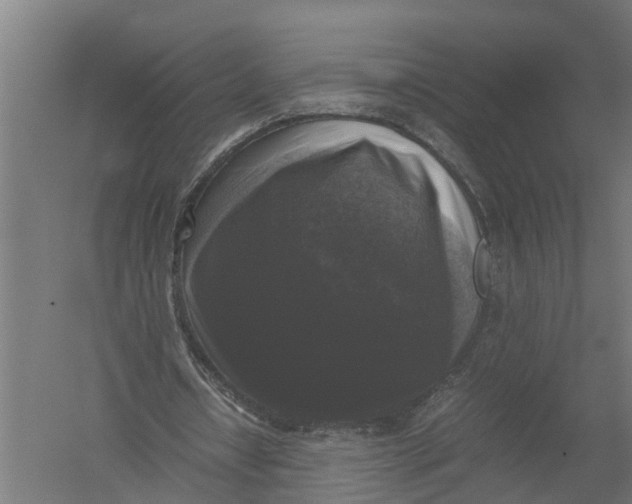 X0000052920434200507292330