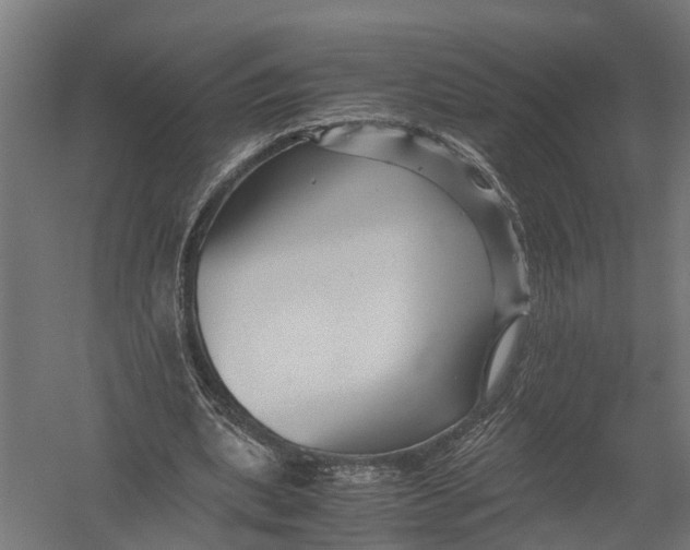 X0000052920439200507292330