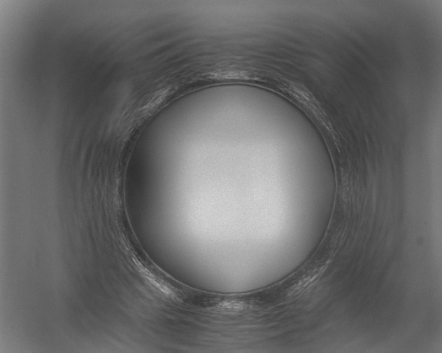 X0000052920441200507292330