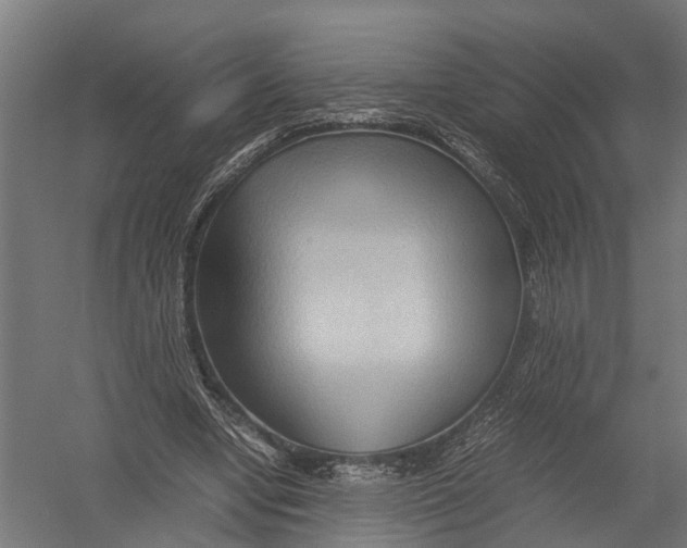 X0000052920442200507292330